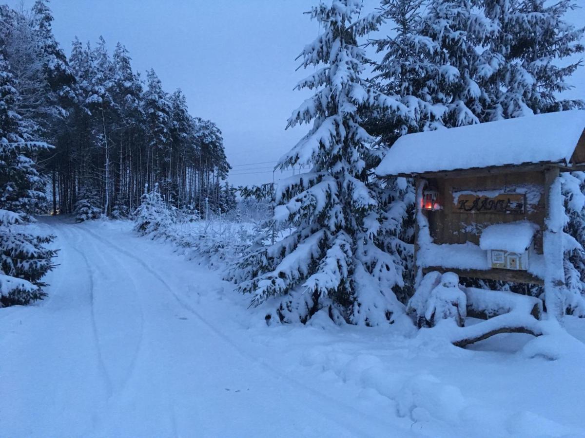 Villa Kaeaenu Puhkemaja Rakvere Exterior foto