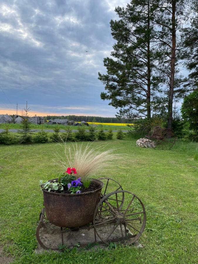 Villa Kaeaenu Puhkemaja Rakvere Exterior foto